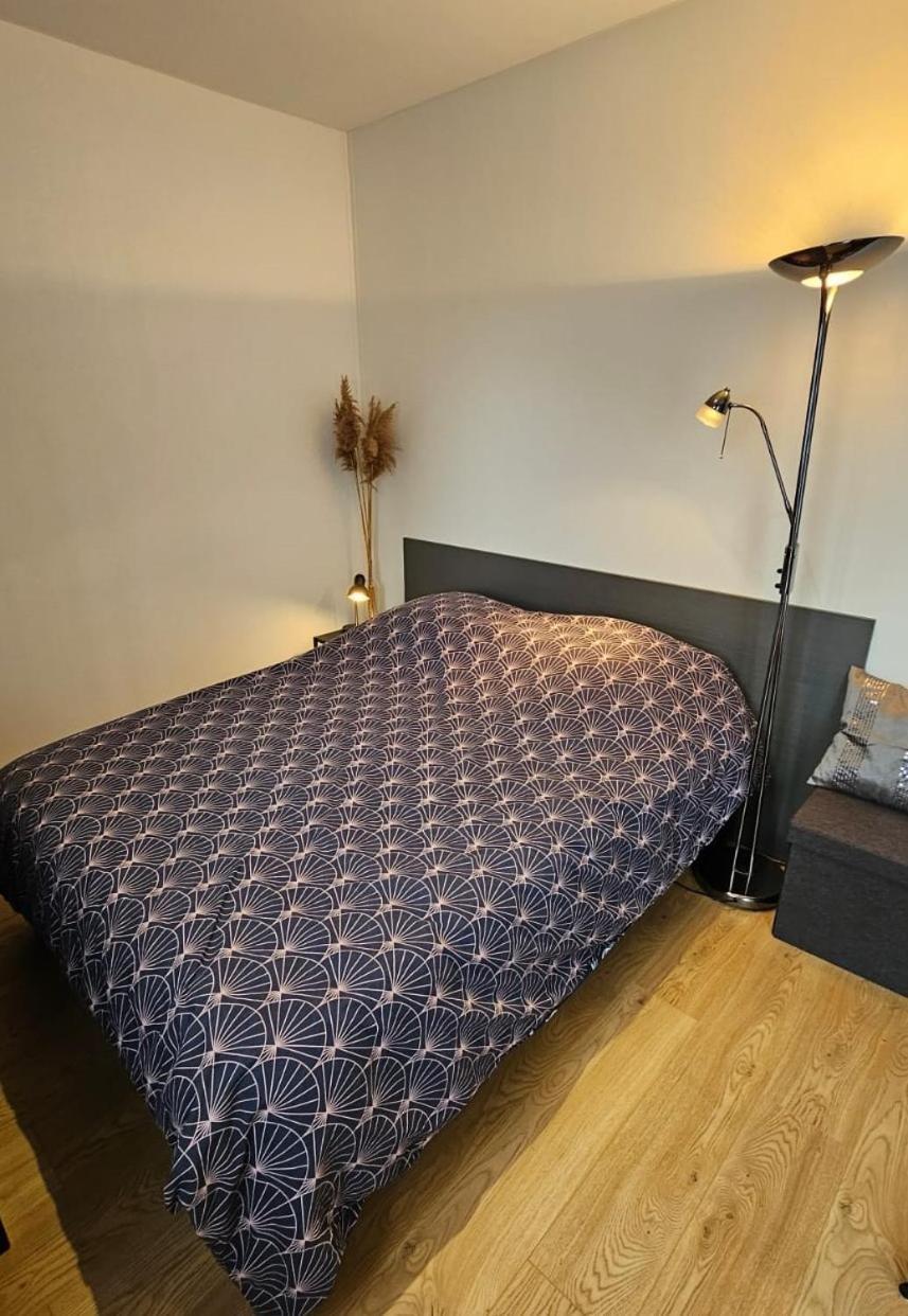 Studio Les Deux Grenouilles 5Mn De Colmar Herrlisheim-pres-Colmar ภายนอก รูปภาพ